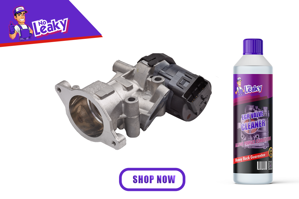 How to prevent clogged EGR valve problems? – No Leaky